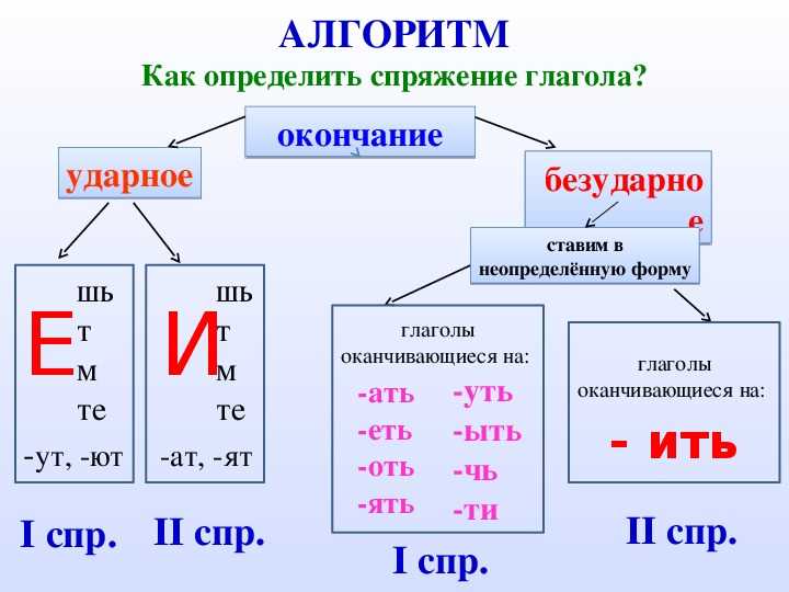 Первая группа